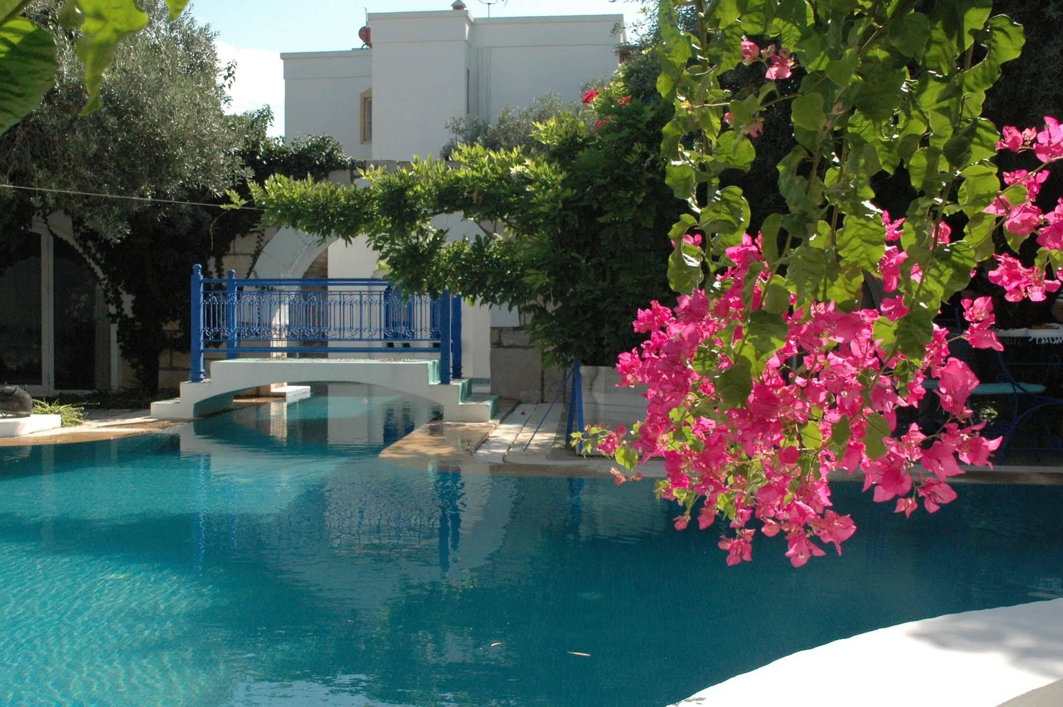 Villa Oliva Butik Hotel Konacik Esterno foto