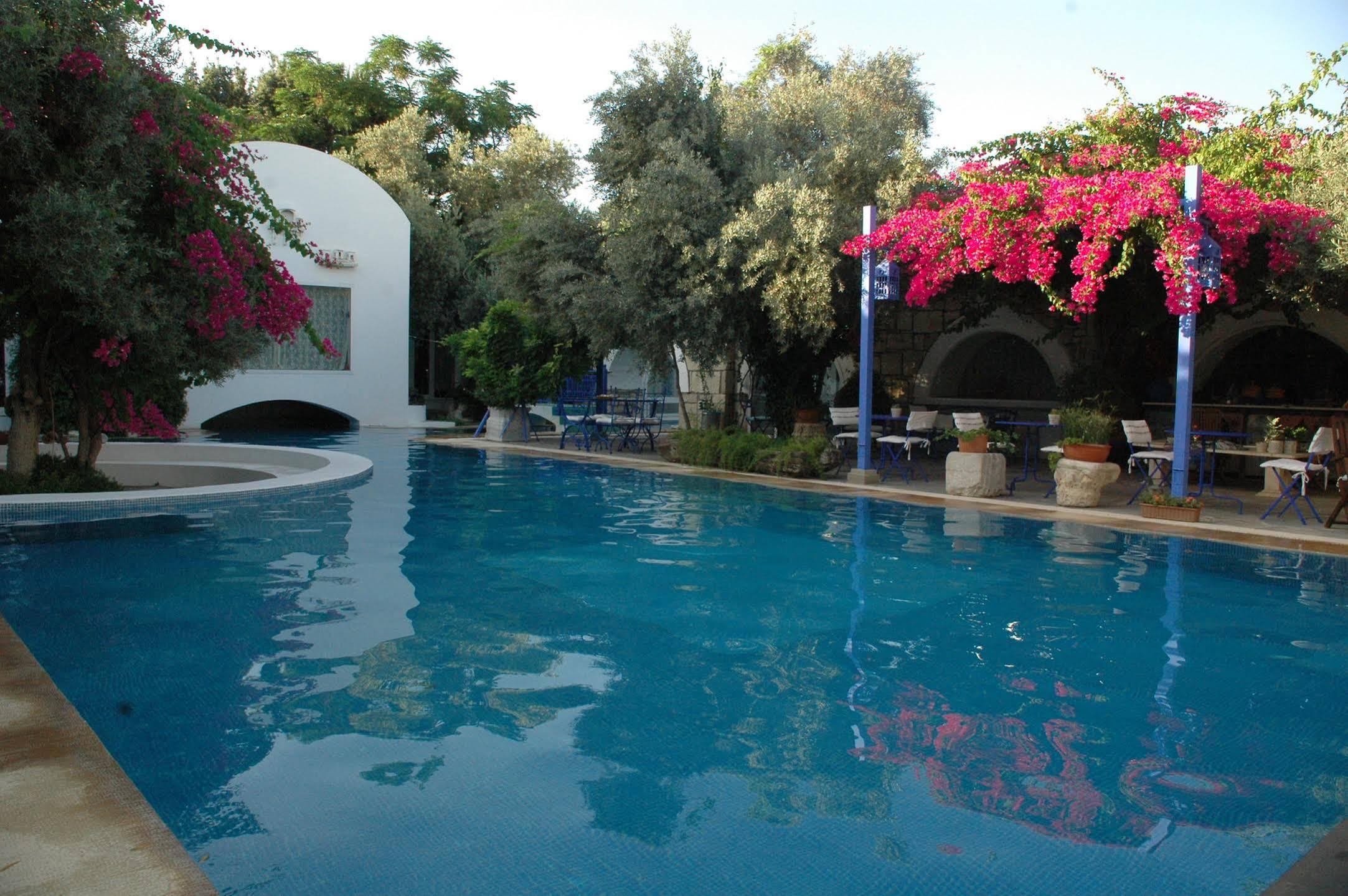 Villa Oliva Butik Hotel Konacik Esterno foto